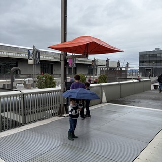 Child with Umbrella on Rainy Rooftop Terrace
