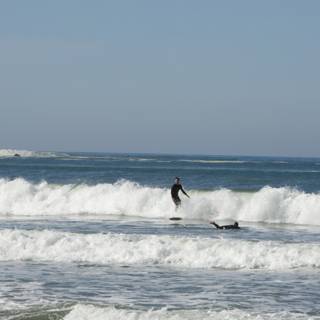 Riding the Pacific Waves
