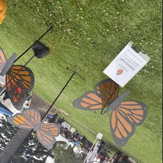 Monarch Moments in Plaza Park