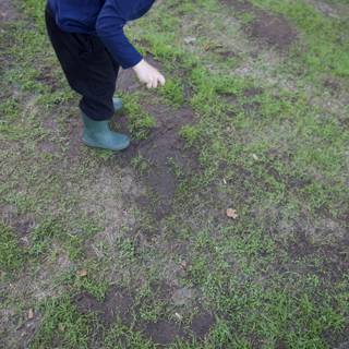 Exploring Nature at Thistlewyck