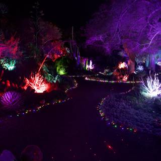 Enchanted Evenings in the Garden