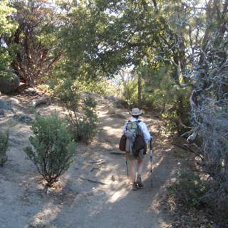 Hiking Adventure in the San Jacinto Wilderness