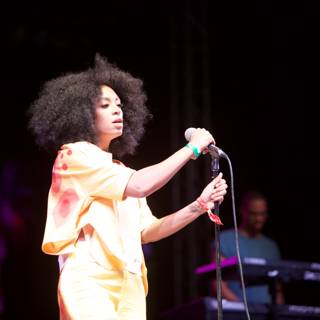 Soulful Solange Serenades the Crowd