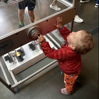 Curious Minds at Play