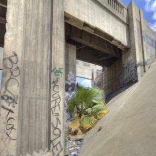 Graffiti Adorns Concrete Overpass