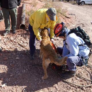 Mine Rescue: Man and Dog
