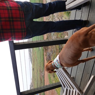 Dog and Owner on Rural Deck Overlook