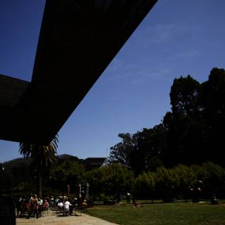 A Serene Summer Day in de Young Museum Park