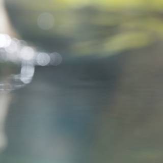 Whispering Waters