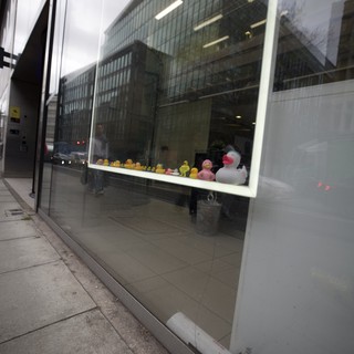 Urban Reflections: Rubber Ducks in Modern London Storefront
