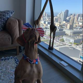 Patriotic Pup on the Rug
