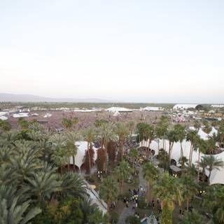 Aerial View of Summer Festival with Palm Trees