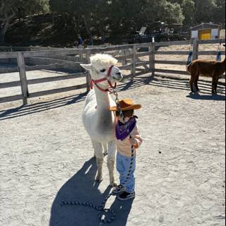 Cowboy in the Valley