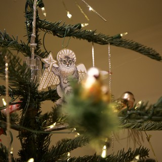 Handcrafted Cat Angel Ornament on Illuminated Christmas Tree