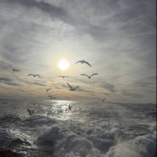 Soaring Above the Waves