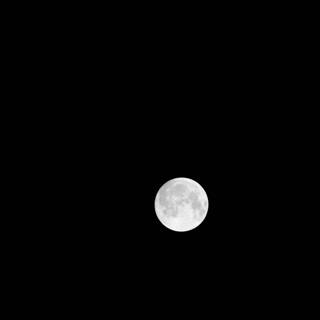 Full Moon Illuminates the Night Sky