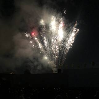 Fireworks light up the night sky over excited crowd