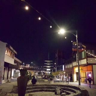 Moonlit Serenade: A Night on Town in Japan, 2023