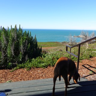 coastal garden viewpoint