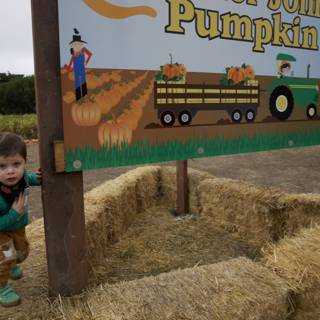 Autumn Adventures at the Pumpkin Farm