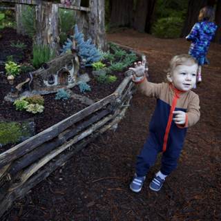 Exploring the Woodland Magic at Thistlewyck