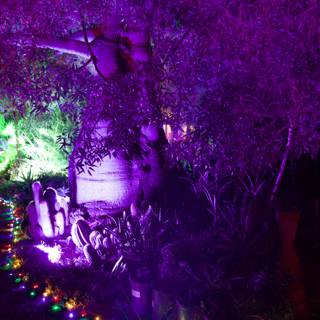 Enchanted Night in Purple Glow