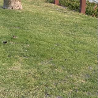 A Serene Moment in Oxnard