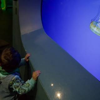 Captivated by the Deep - California Academy of Sciences, 2024