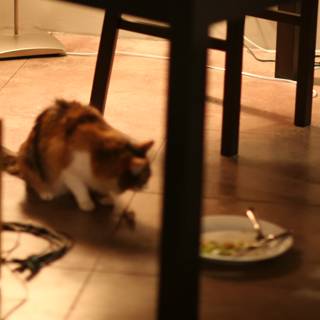 Feline Feasting on Hardwood Floor