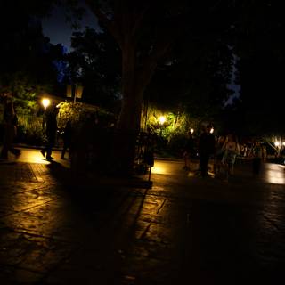 Enchanting Nighttime Stroll through Disneyland