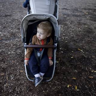 Strolling Through Thistlewyck