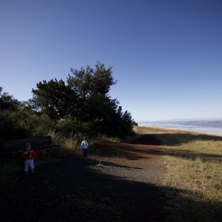 adventurous-serene-wonder-filled