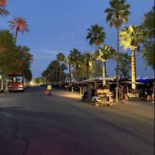 Twilight Stroll Through the Palm-lined Path