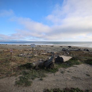 Coastal Path Leading to Elephant Seal Beach
