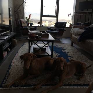 Two Dogs in a Cozy Living Room