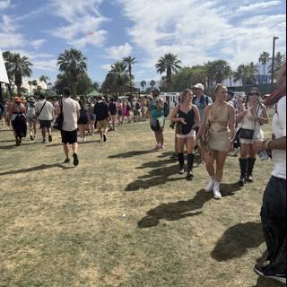Gathering Under the Palm Sky