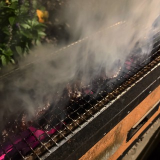 Grilling Kebabs Over Smoky Charcoal Flames