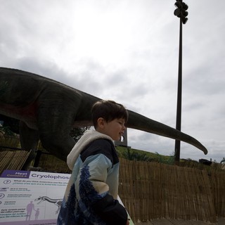 Young Boy Exploring Dinosaur Exhibit at Outdoor Museum