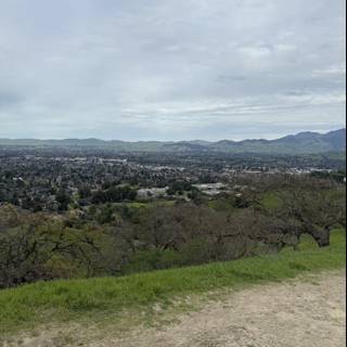 Overcast Serenity in Walnut Creek