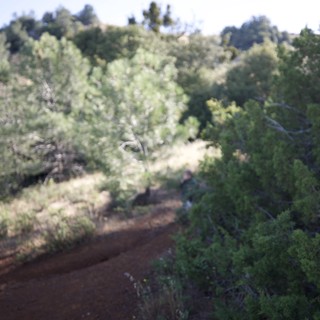 Winding Dirt Trail Through Juniper Canyon Chaparral
