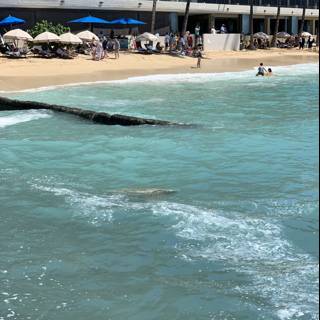 Waterside Relaxation at Waikiki Beach