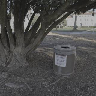 Trash Can and Tree Trunk