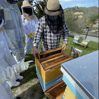 Beekeeper Examining Hive at San Jose Apiary