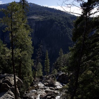 Mountain Stream Cascading Through Yosemite Valley Forest