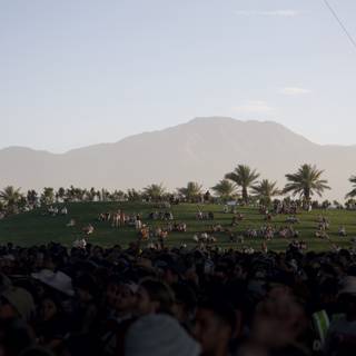 Serenity and Sound: A Coachella Afternoon