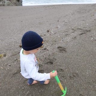 Little Explorer Playing in the Sand at the Beach