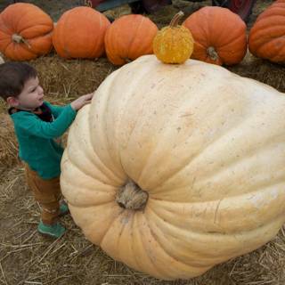 Pumpkin Patch Wonder