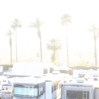 RV Oasis in the Palm Trees