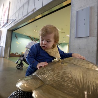 Toddler Discovering Interactive Art Installation in Museum