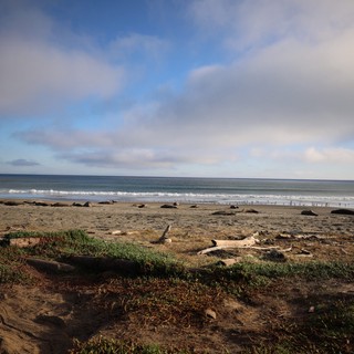 Tranquil Coastal Scene at Drakes Beach with Elephant Seals